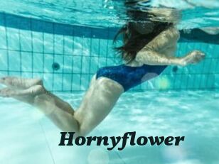 Hornyflower