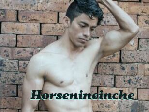 Horsenineinche