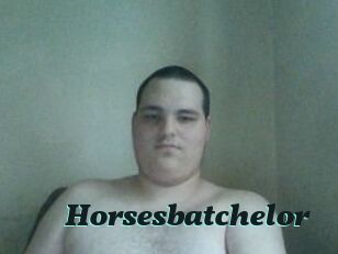 Horsesbatchelor