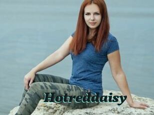 Hotreddaisy