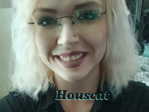 Houscat