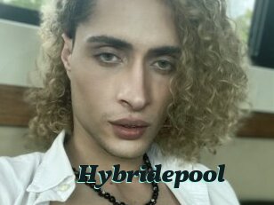 Hybridepool