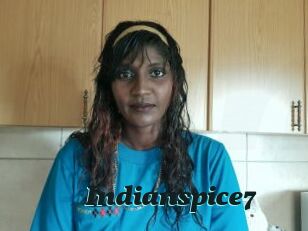 Indianspice7