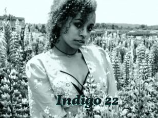 Indigo_22