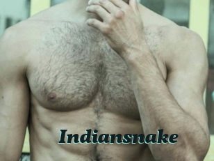 Indiansnake