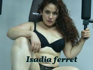 Isadia_ferret