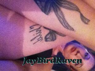 JayBirdRaven Cumshots Videos
