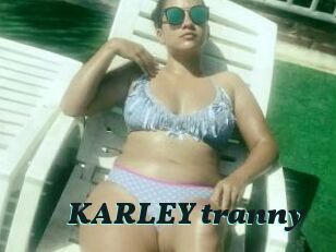 KARLEY_tranny