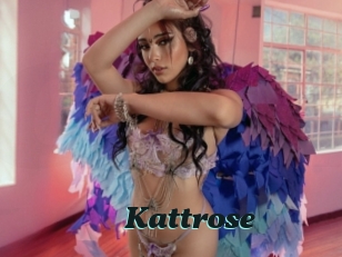 Kattrose