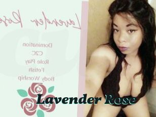 Lavender_Rose