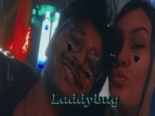 Laddybug