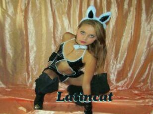 latincat Cumshots Videos