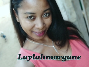 Laylahmorgane