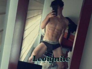 Leoignite