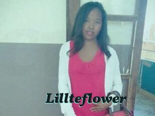 Lillteflower