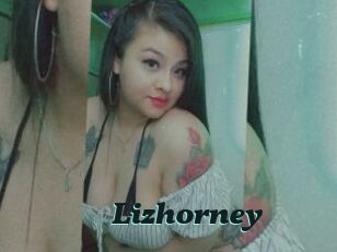 Lizhorney