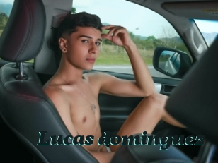 Lucas_dominguez