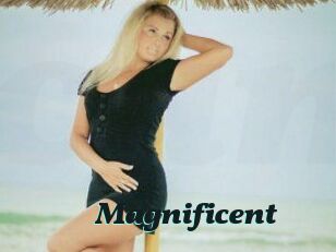 Magnificent