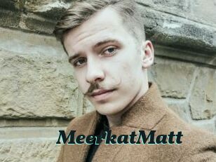 MeerkatMatt