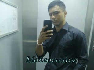 Mateoreales