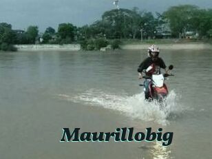 Maurillobig