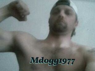 mdogg1977 Cumshots Videos