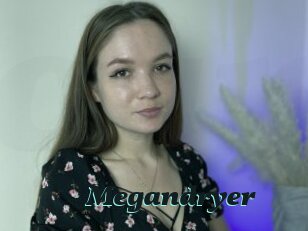 Megandryer