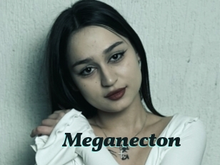 Meganecton