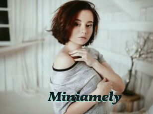 Miniamely