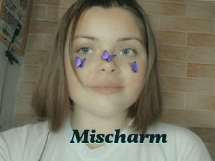 Mischarm