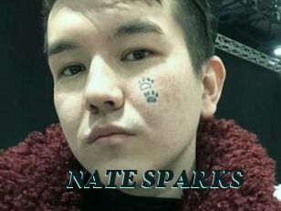 NATE_SPARKS
