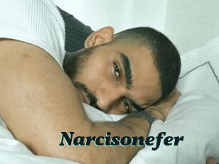 Narcisonefer