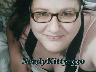 NerdyKitty1330