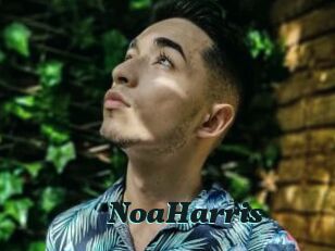 NoaHarris