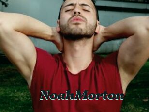 NoahMorton