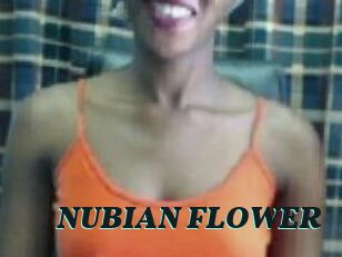 _NUBIAN_FLOWER_