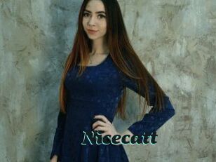 Nicecatt