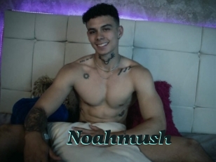 Noahmush