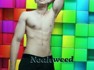 Noahweed