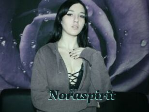 Noraspirit