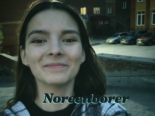 Noreenborer