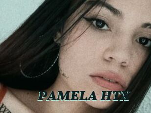 PAMELA_HTX