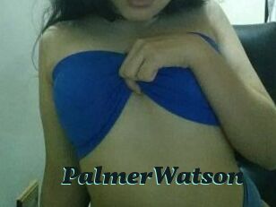 PalmerWatson