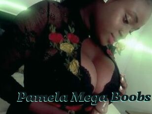 Pamela_Mega_Boobs