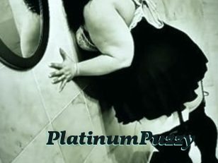 PlatinumPuzzy