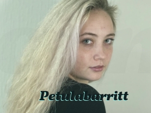 Petulabarritt