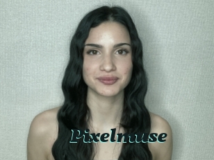 Pixelmuse