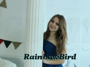 RainbowBird