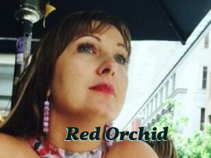 Red_Orchid