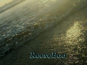 ReeseBoo